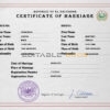 Salvador Marriage Certificate | Editable PDF Templates