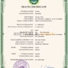 Customizable Salvador Death Certificate PSD Templates | Instant Download
