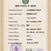 Customizable San Marino Death Certificate PSD Templates | Instant Download