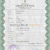 Customizable Saudi Arabia Death Certificate PSD Templates | Instant Download
