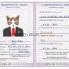 Senegal cat Fake PSD Passport | Instant Download
