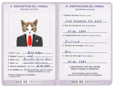 Senegal cat Fake PSD Passport | Instant Download