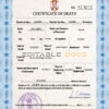 Customizable Serbia Death Certificate PSD Templates | Instant Download