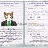 Seychellas cat Fake PSD Passport | Instant Download