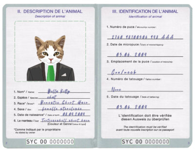 Seychellas cat Fake PSD Passport | Instant Download