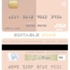 Editable Seychelles Bank of Baroda visa debit card Templates in PSD Format