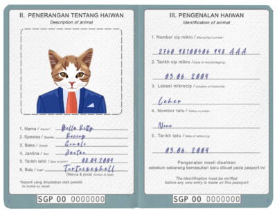 Singapore cat Fake PSD Passport | Instant Download