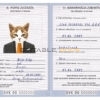Slovakia cat Fake PSD Passport | Instant Download