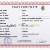 Customizable Solomon Death Certificate PSD Templates | Instant Download