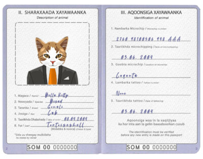 Somalia cat Fake PSD Passport | Instant Download