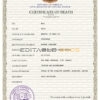 Customizable Somalia Death Certificate PSD Templates | Instant Download