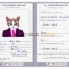 South Africa cat Fake PSD Passport | Instant Download