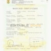 South Africa Marriage Certificate | Editable PDF Templates