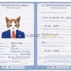 Spain cat Fake PSD Passport | Instant Download
