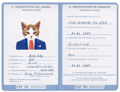 Spain cat Fake PSD Passport | Instant Download
