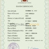 Customizable Spain Death Certificate PSD Templates | Instant Download