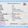 Customizable Suriname Death Certificate PSD Templates | Instant Download