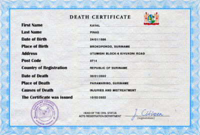Suriname vital record death certificate PSD template, completely editable