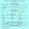 Authentic Swaziland Birth Certificate Template | Customize and Download Online
