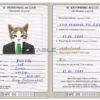 Sweden cat Fake PSD Passport | Instant Download