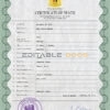 Customizable Syria Death Certificate PSD Templates | Instant Download