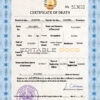 Customizable Tajikistan Death Certificate PSD Templates | Instant Download