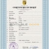Customizable Tunisia Death Certificate PSD Templates | Instant Download