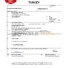 Fillable Turkey Death PDF Templates | Blank Docs