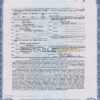Authentic USA Alaska Birth Certificate Template | Customize and Download Online