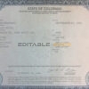 Authentic Colorado Birth Certificate Template | Customize and Download Online