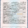 Customizable USA Colorado state Death Certificate PSD Templates | Instant Download