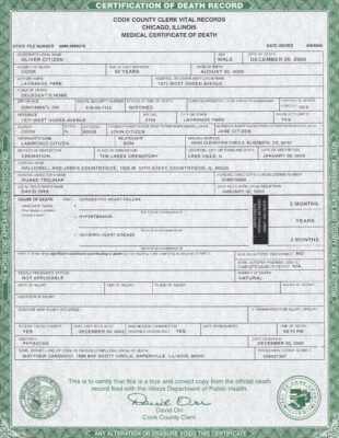 USA Illinois state death certificate template in PSD format, fully editable