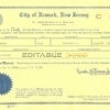Authentic USA New Jersey Birth Certificate Template | Customize and Download Online