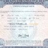 Authentic USA New York Birth Certificate Template | Customize and Download Online