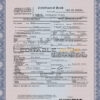 Customizable USA New York Death Certificate PSD Templates | Instant Download