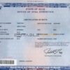 Authentic USA Ohio Birth Certificate Template | Customize and Download Online