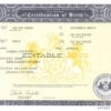 Authentic USA Pennsylvania Birth Certificate Template | Customize and Download Online