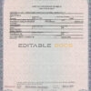 Authentic USA Rhode Island Birth Certificate Template | Customize and Download Online