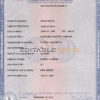 Authentic USA Virginia Birth Certificate Template | Customize and Download Online