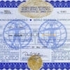 USA Washington world Marriage Certificate | Editable PSD Templates