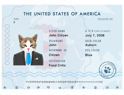 USA cat electronic Fake PSD Passport | Instant Download