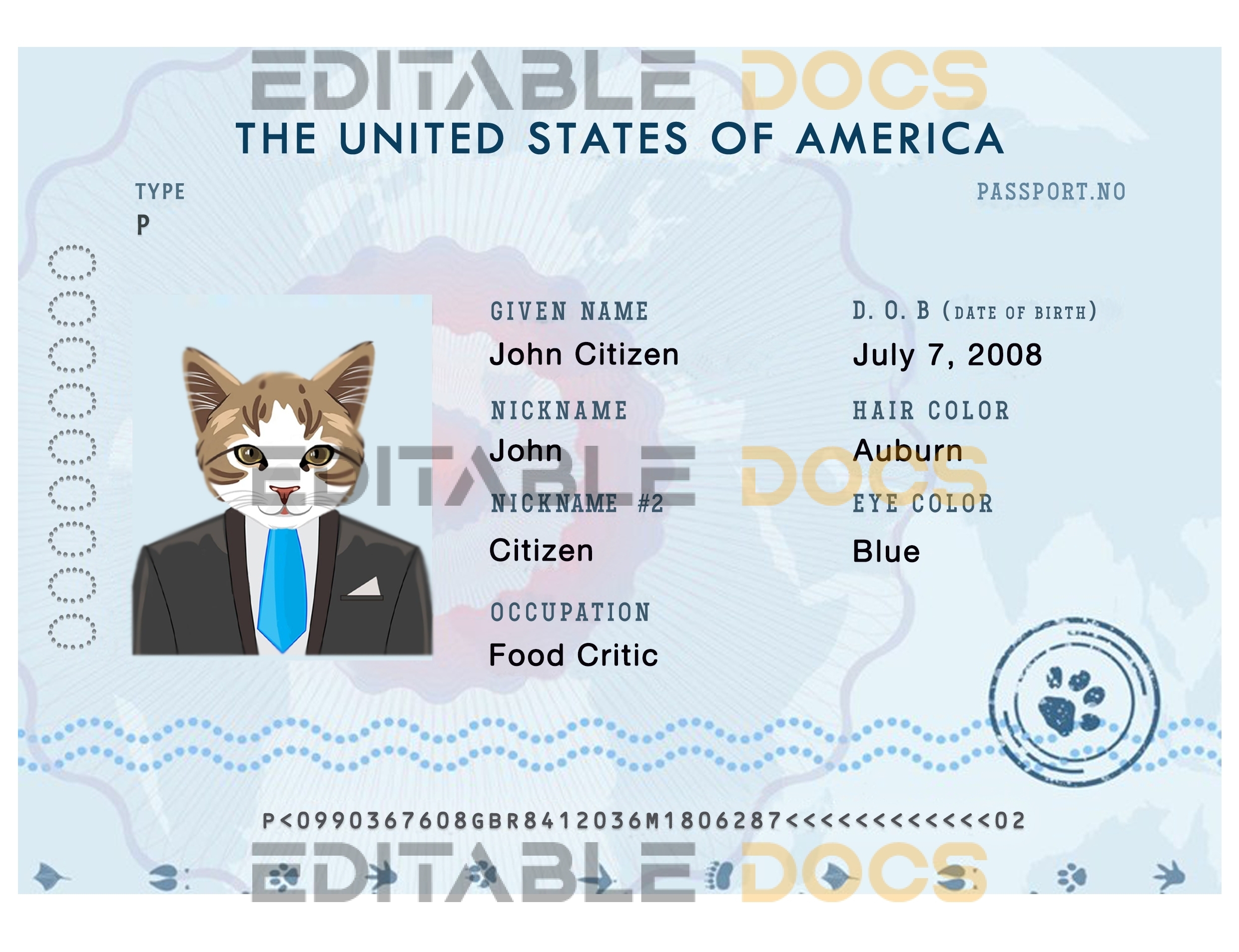 USA cat electronic Fake PSD Passport | Instant Download