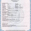 Customizable USA state Utah Death Certificate PSD Templates | Instant Download