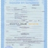 Authentic Ukraine Birth Certificate Template | Customize and Download Online