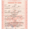 Ukraine Marriage Certificate | Editable PDF Templates