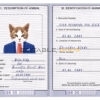 United Kingdom cat Fake PSD Passport | Instant Download