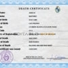 Customizable Uruguay Death Certificate PSD Templates | Instant Download
