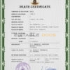 Customizable Vanuatu Death Certificate PSD Templates | Instant Download