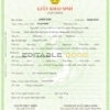 Authentic Vietnam Birth Certificate Template | Customize and Download Online