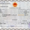 Customizable Vietnam Death Certificate PSD Templates | Instant Download